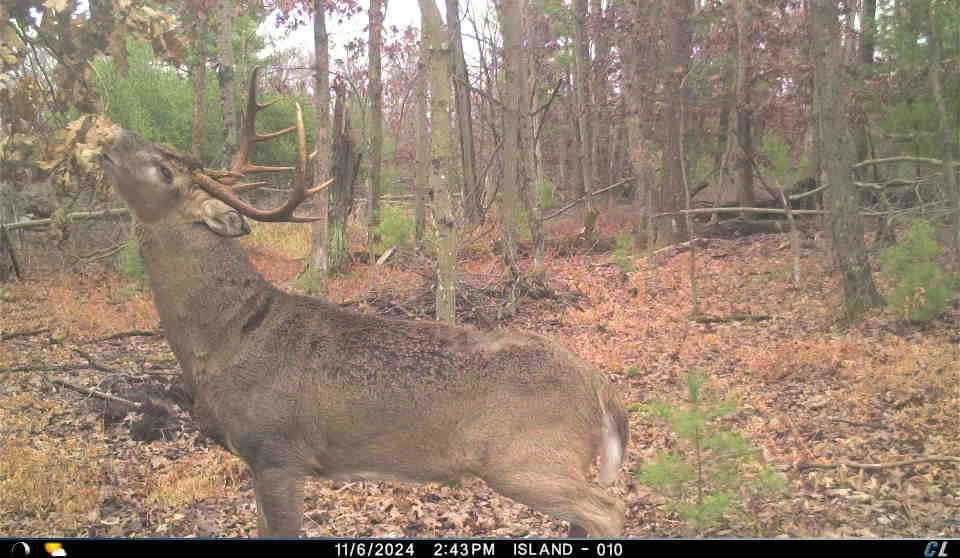 Hunting Camp for Sale in Juneau County, Wisconsin