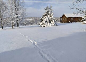Windy Ridge – Conservation Homestead – 187 ± Acres in Monroe County’s Driftless Area of Wisconsin