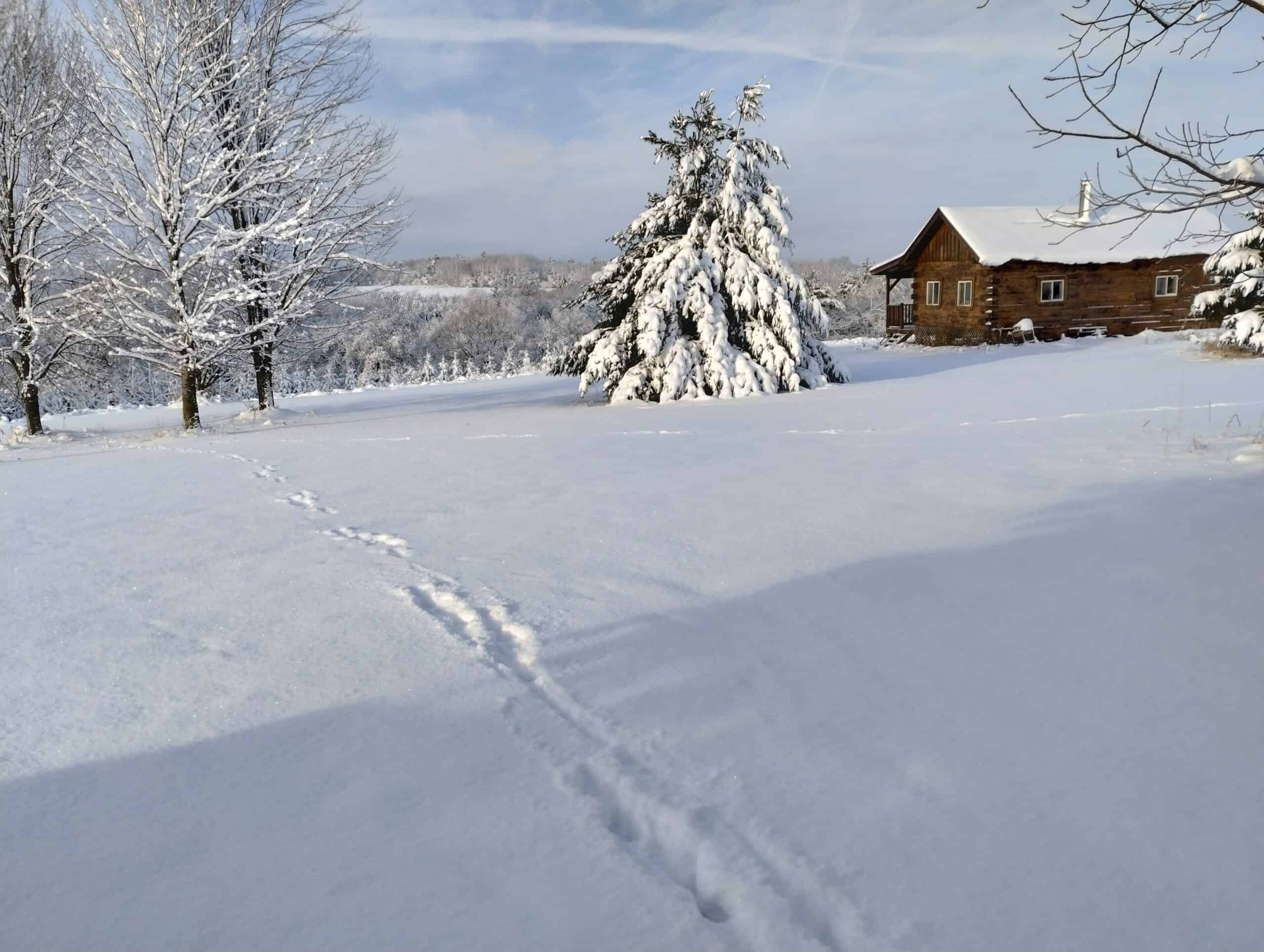 Windy Ridge – Conservation Homestead – 187 ± Acres in Monroe County’s Driftless Area of Wisconsin