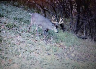Windy Ridge – Conservation Homestead – 187 ± Acres in Monroe County’s Driftless Area of Wisconsin