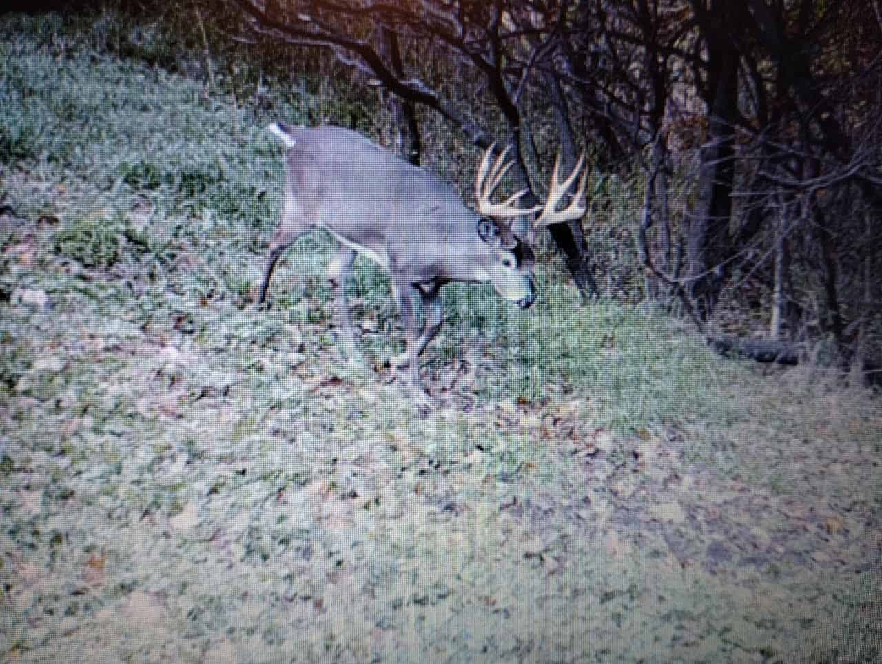 Windy Ridge – Conservation Homestead – 187 ± Acres in Monroe County’s Driftless Area of Wisconsin