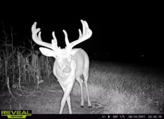 252± Acre Legacy Estate in Trempealeau County WI