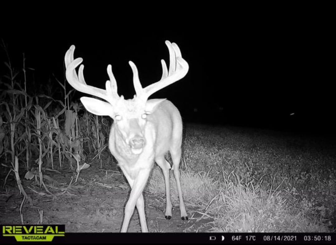 252± Acre Legacy Estate in Trempealeau County WI