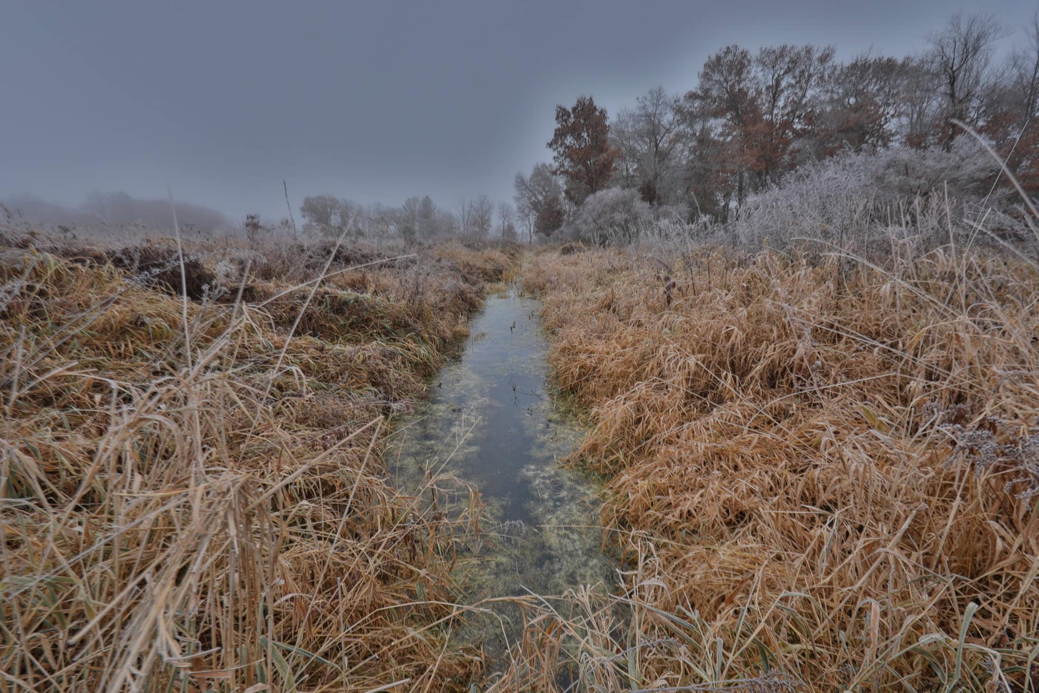 Hunting Camp for Sale in Juneau County, Wisconsin