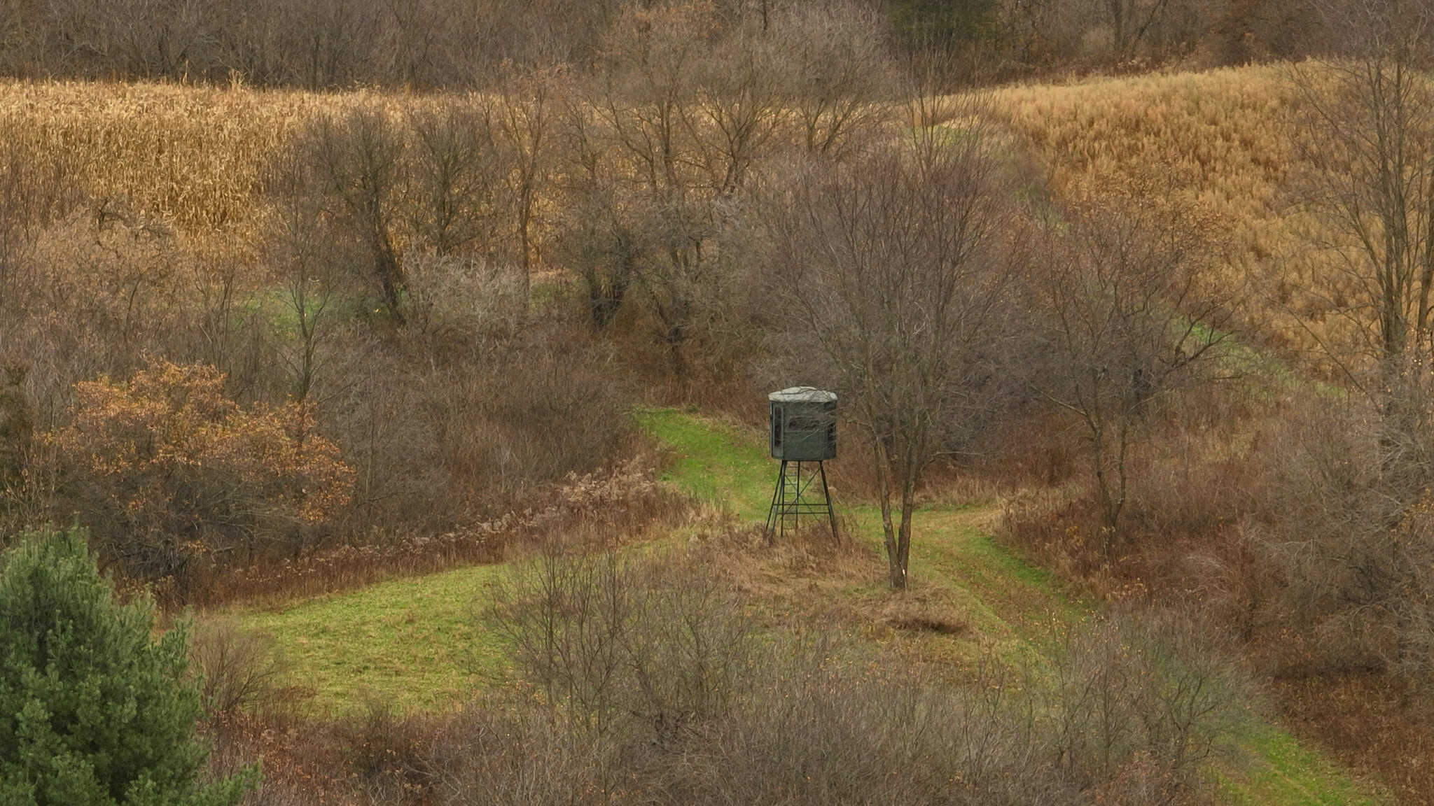 Premium Driftless Hunting Camp in Richland County, Wisconsin