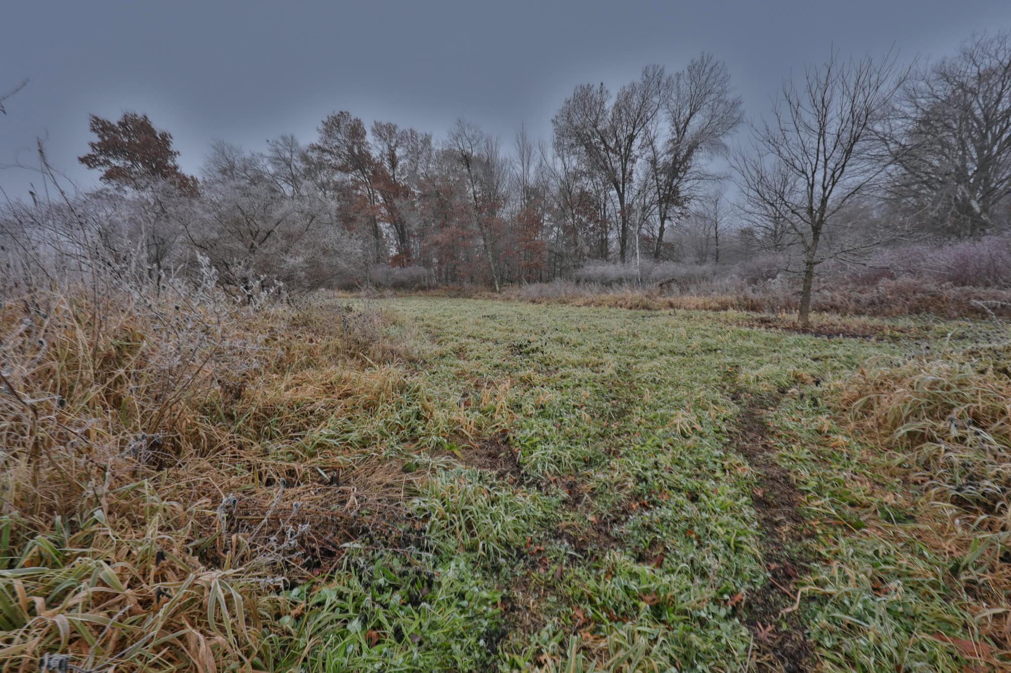 Hunting Camp for Sale in Juneau County, Wisconsin