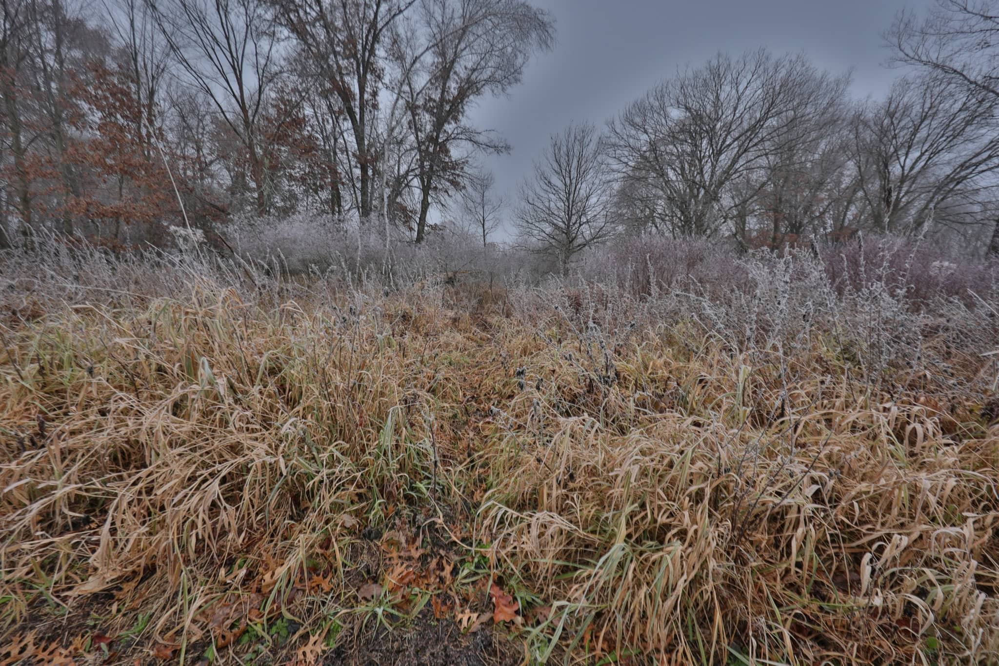 Hunting Camp for Sale in Juneau County, Wisconsin