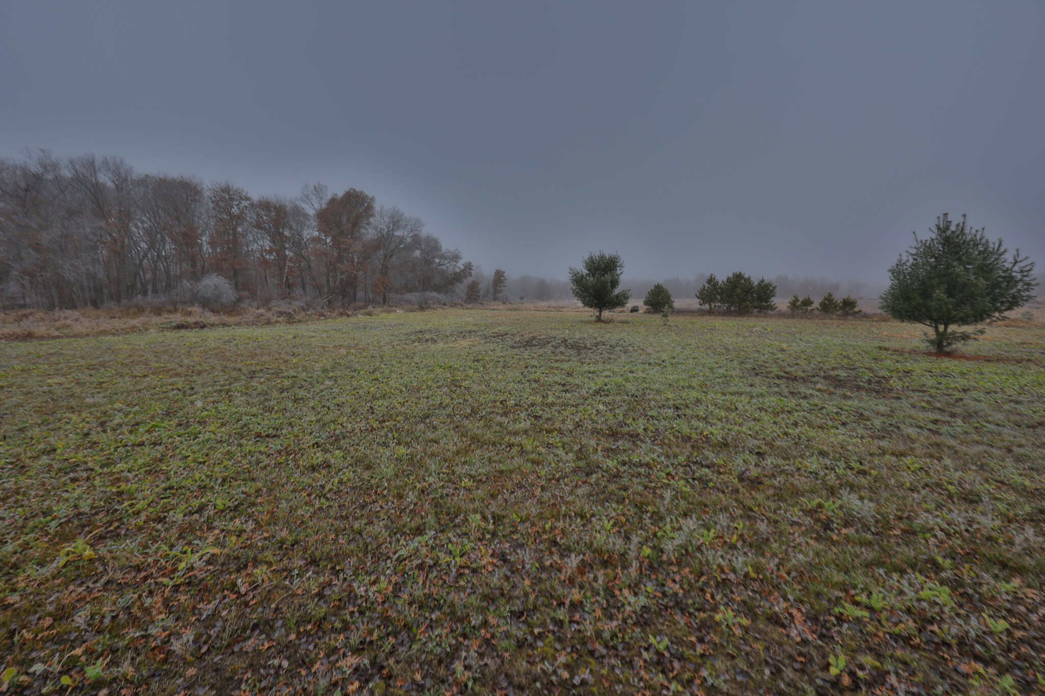 Hunting Camp for Sale in Juneau County, Wisconsin