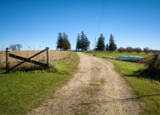Windy Ridge – Conservation Homestead – 187 ± Acres in Monroe County’s Driftless Area of Wisconsin