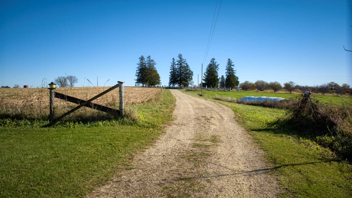 Windy Ridge – Conservation Homestead – 187 ± Acres in Monroe County’s Driftless Area of Wisconsin