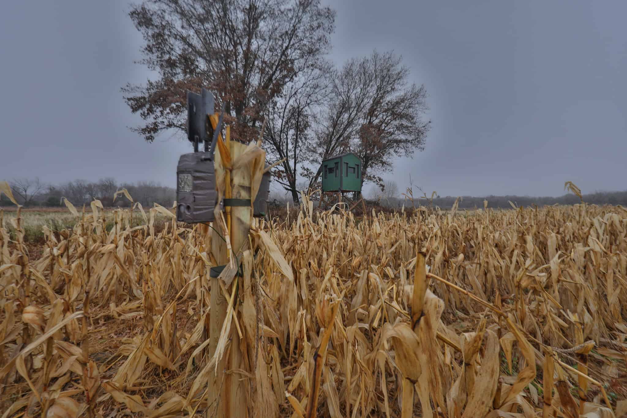 Hunting Camp for Sale in Juneau County, Wisconsin