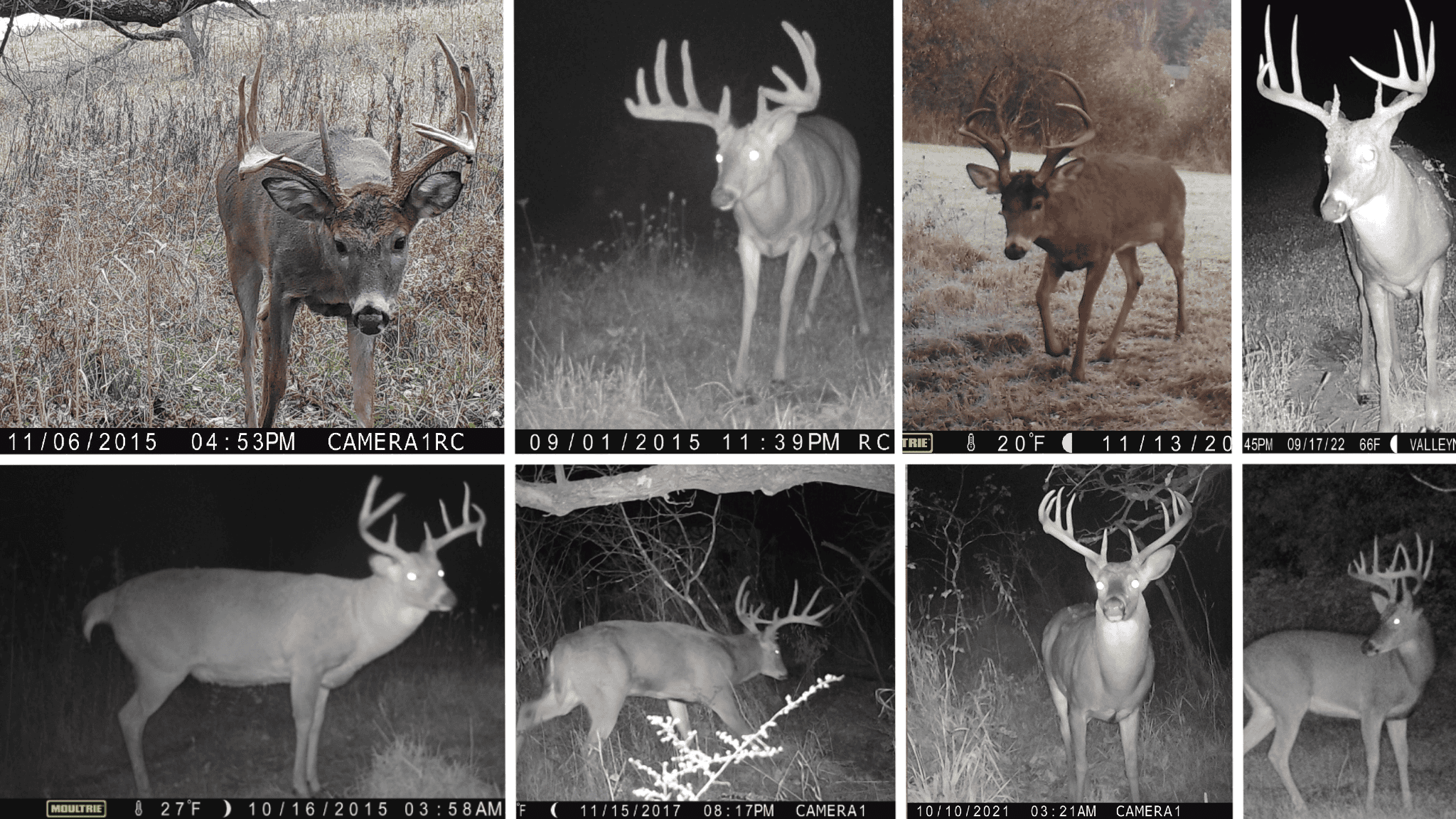 Premium Driftless Hunting Camp in Richland County, Wisconsin