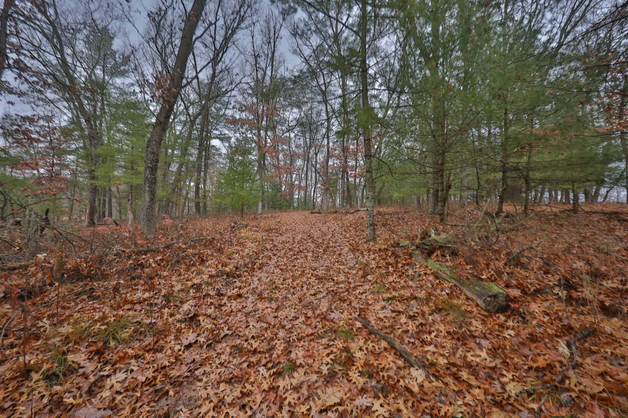 Hunting Camp for Sale in Juneau County, Wisconsin