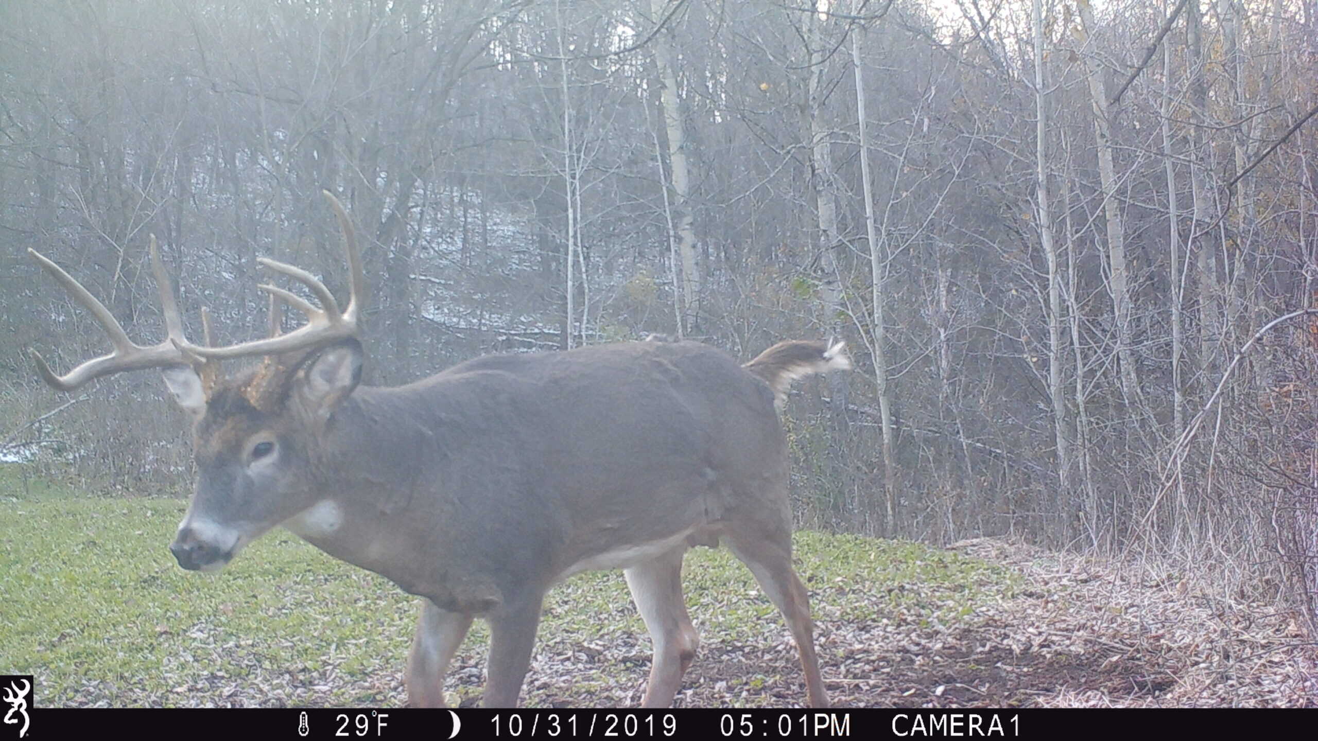 Premium Driftless Hunting Camp in Richland County, Wisconsin