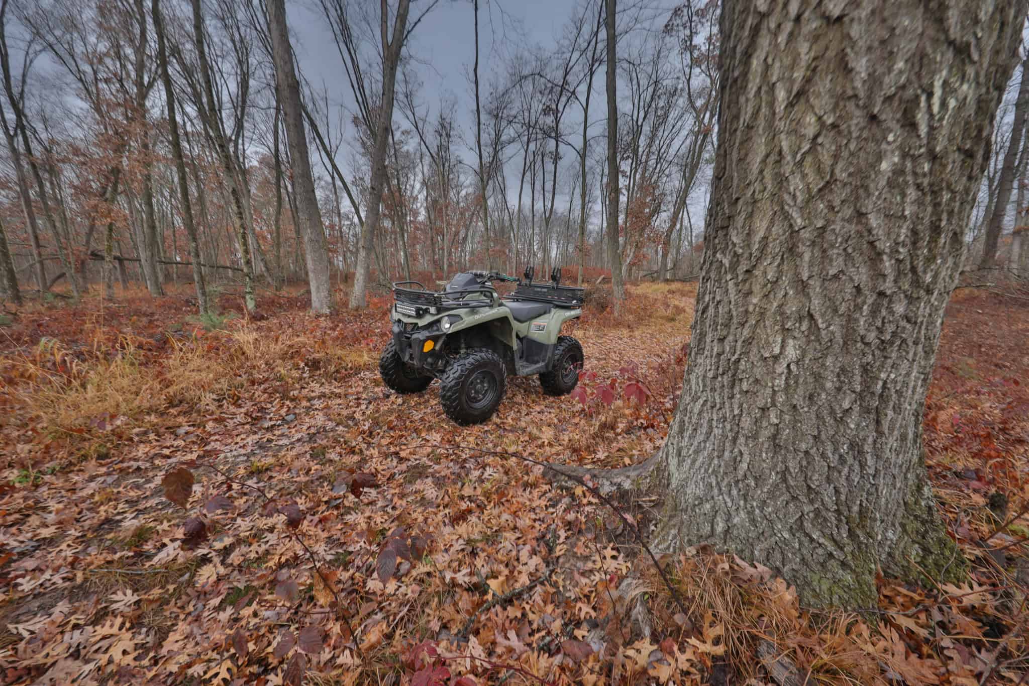 Hunting Camp for Sale in Juneau County, Wisconsin