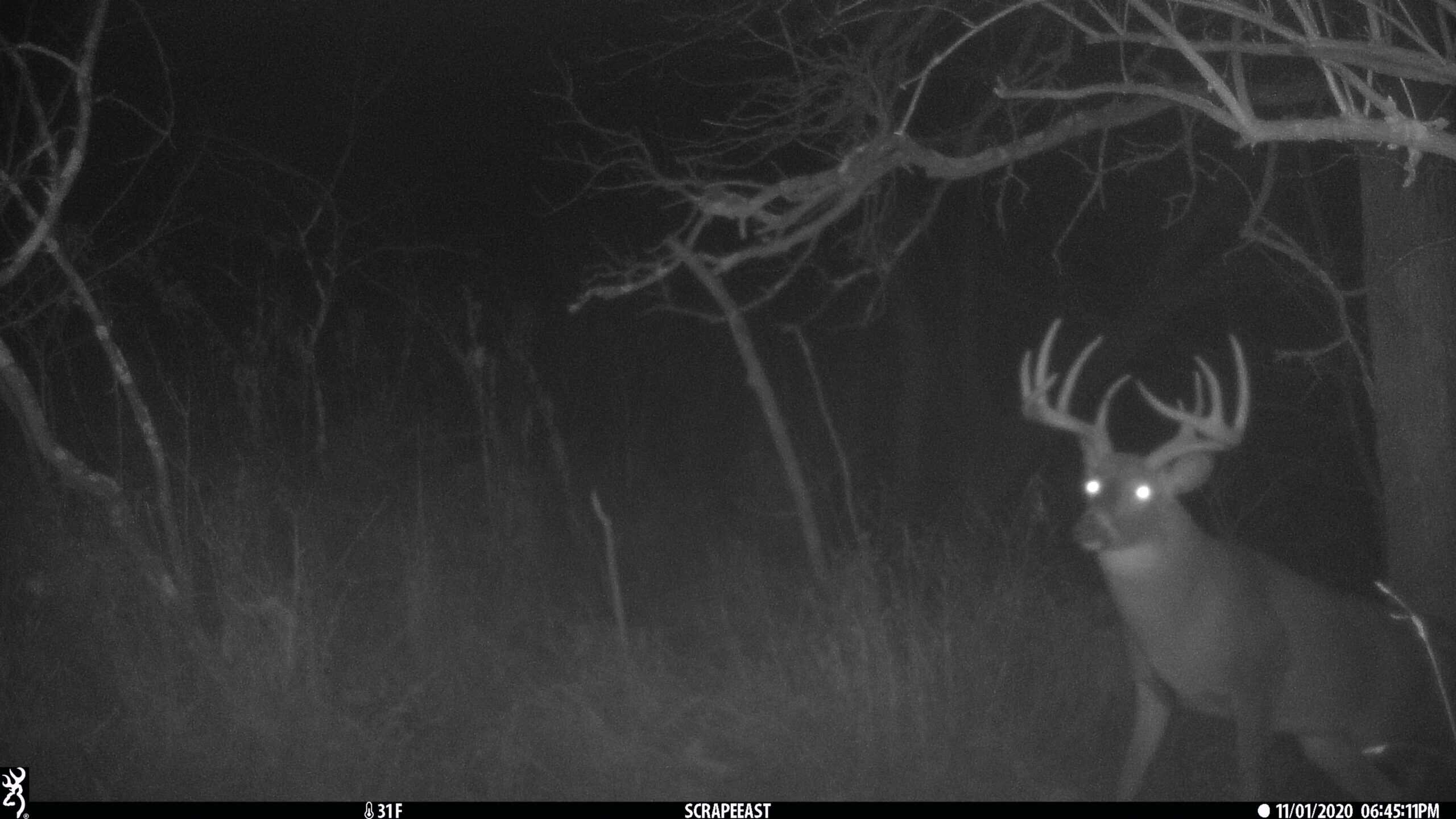 Premium Driftless Hunting Camp in Richland County, Wisconsin