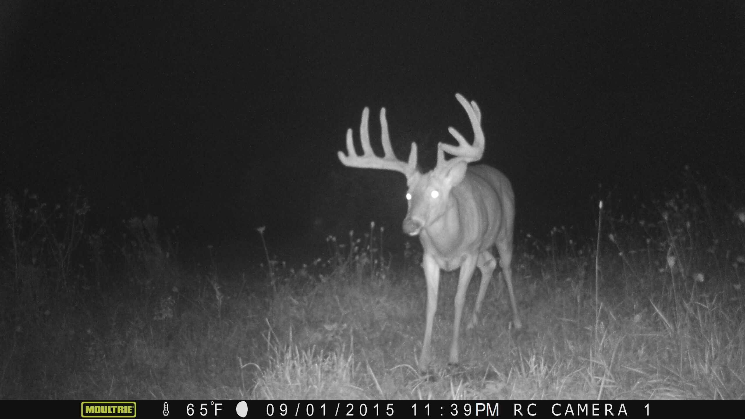 Premium Driftless Hunting Camp in Richland County, Wisconsin