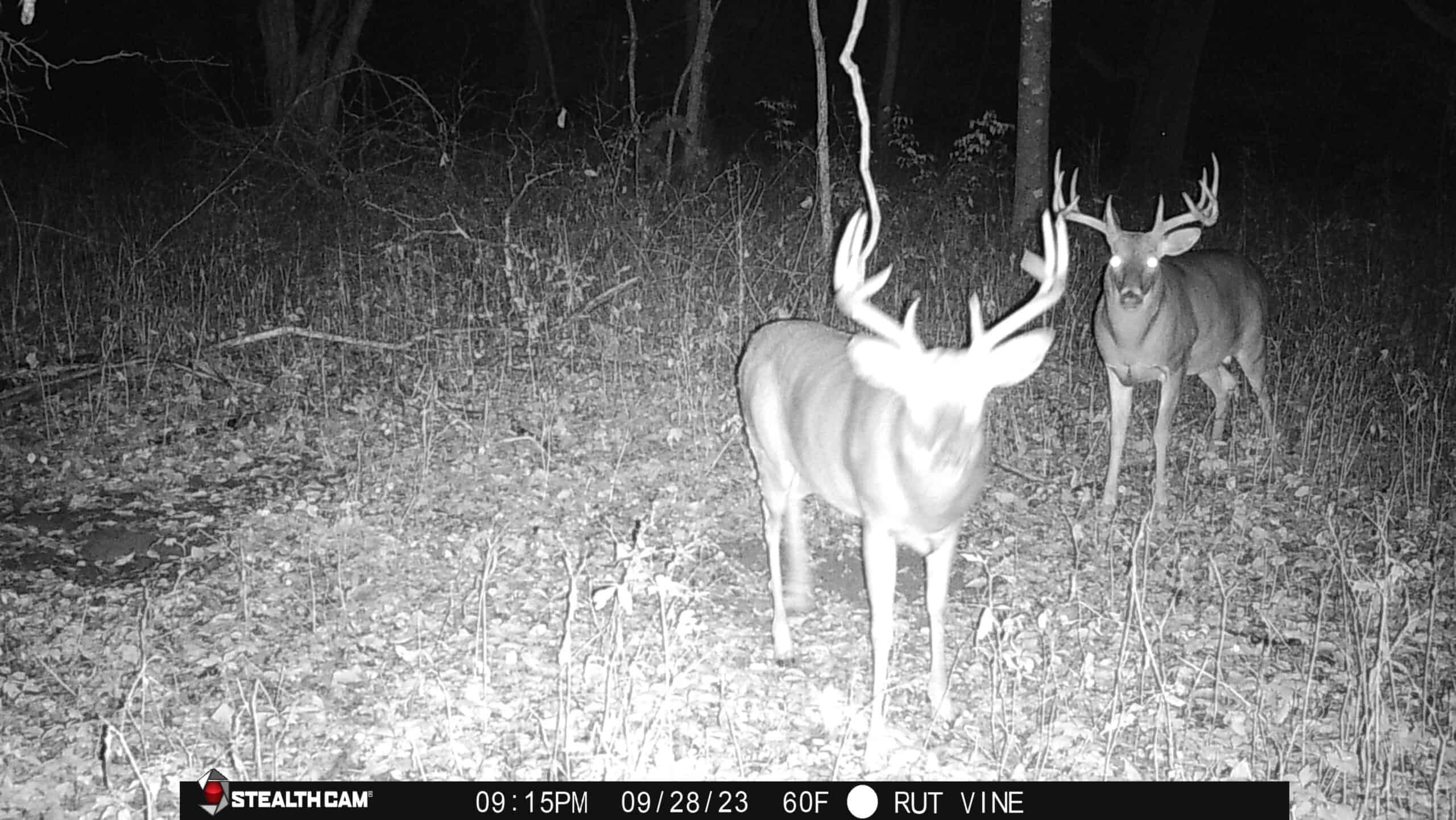 Premium Driftless Hunting Camp in Richland County, Wisconsin