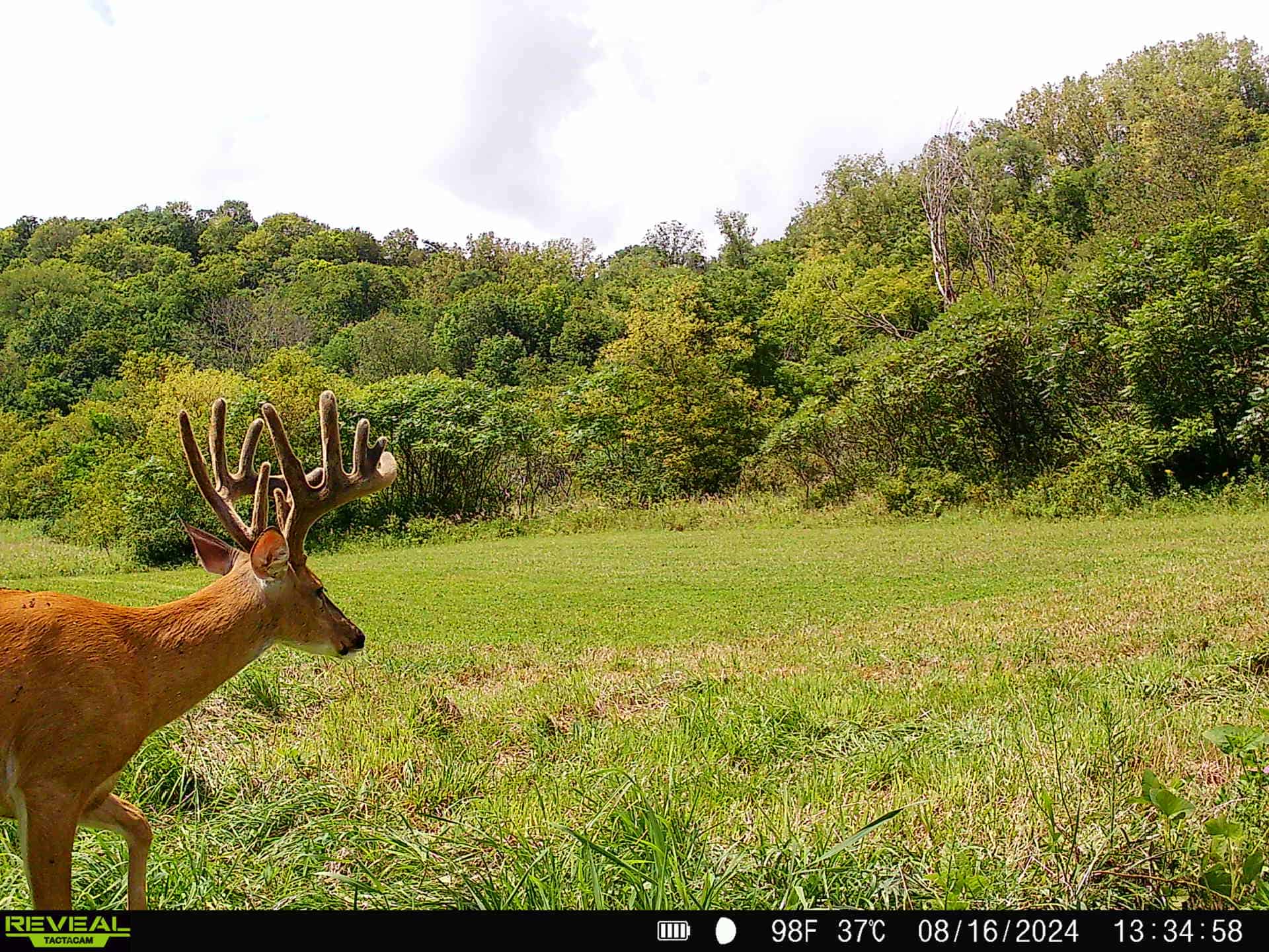 Premium Driftless Hunting Camp in Richland County, Wisconsin