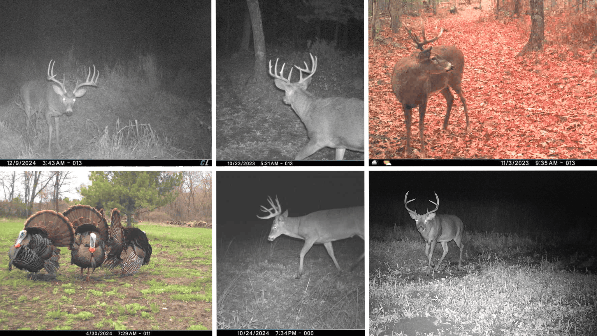 Hunting Camp for Sale in Juneau County, Wisconsin