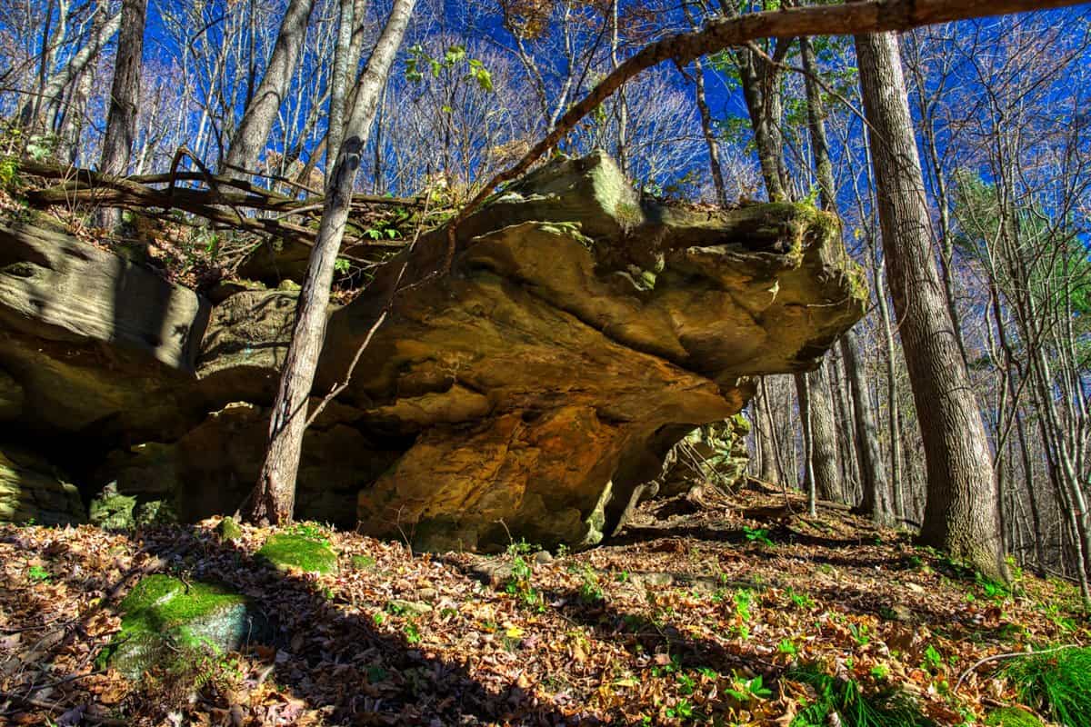 Windy Ridge – Conservation Homestead – 187 ± Acres in Monroe County’s Driftless Area of Wisconsin