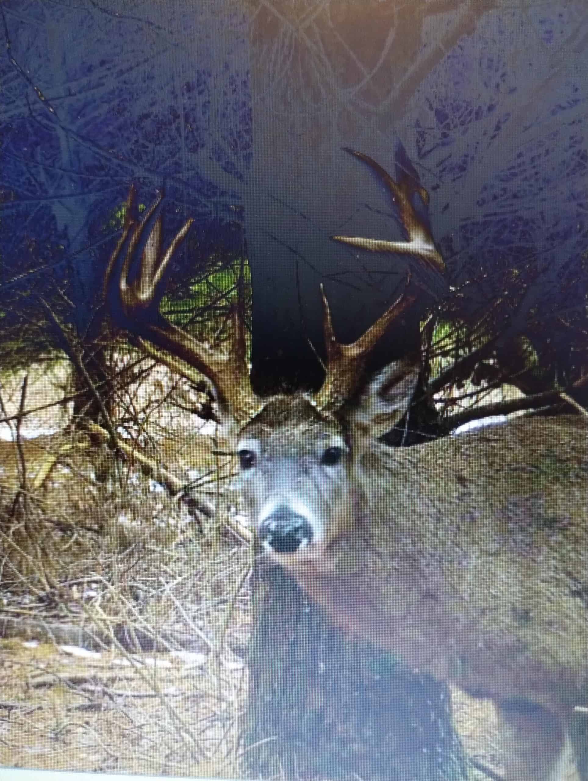 Windy Ridge – Conservation Homestead – 187 ± Acres in Monroe County’s Driftless Area of Wisconsin