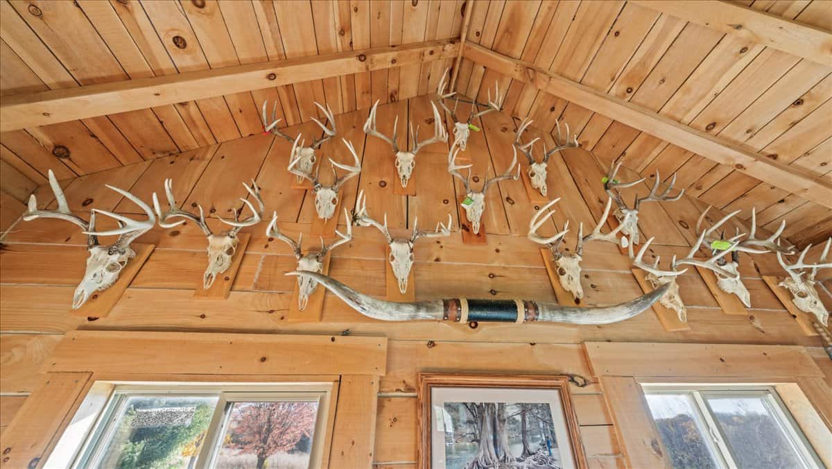 Windy Ridge – Conservation Homestead – 187 ± Acres in Monroe County’s Driftless Area of Wisconsin