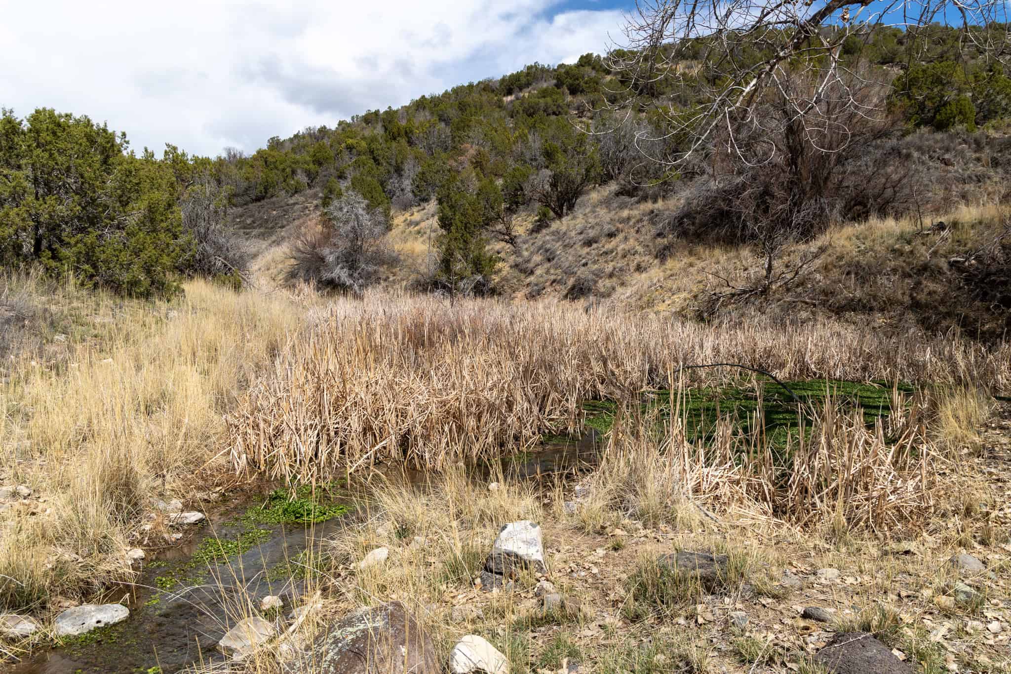 Premier Colorado Property – Shamrock Ranch – Hotchkiss, CO