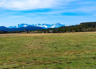278± Acre Horsefly Ranch
