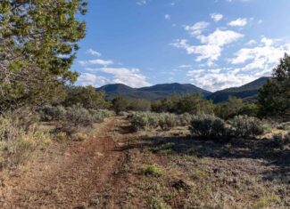 500 Acres Adjacent to BLM – A Secluded Western Colorado Mountain Estate with Water, Views, Wildlife & Unmatched Privacy