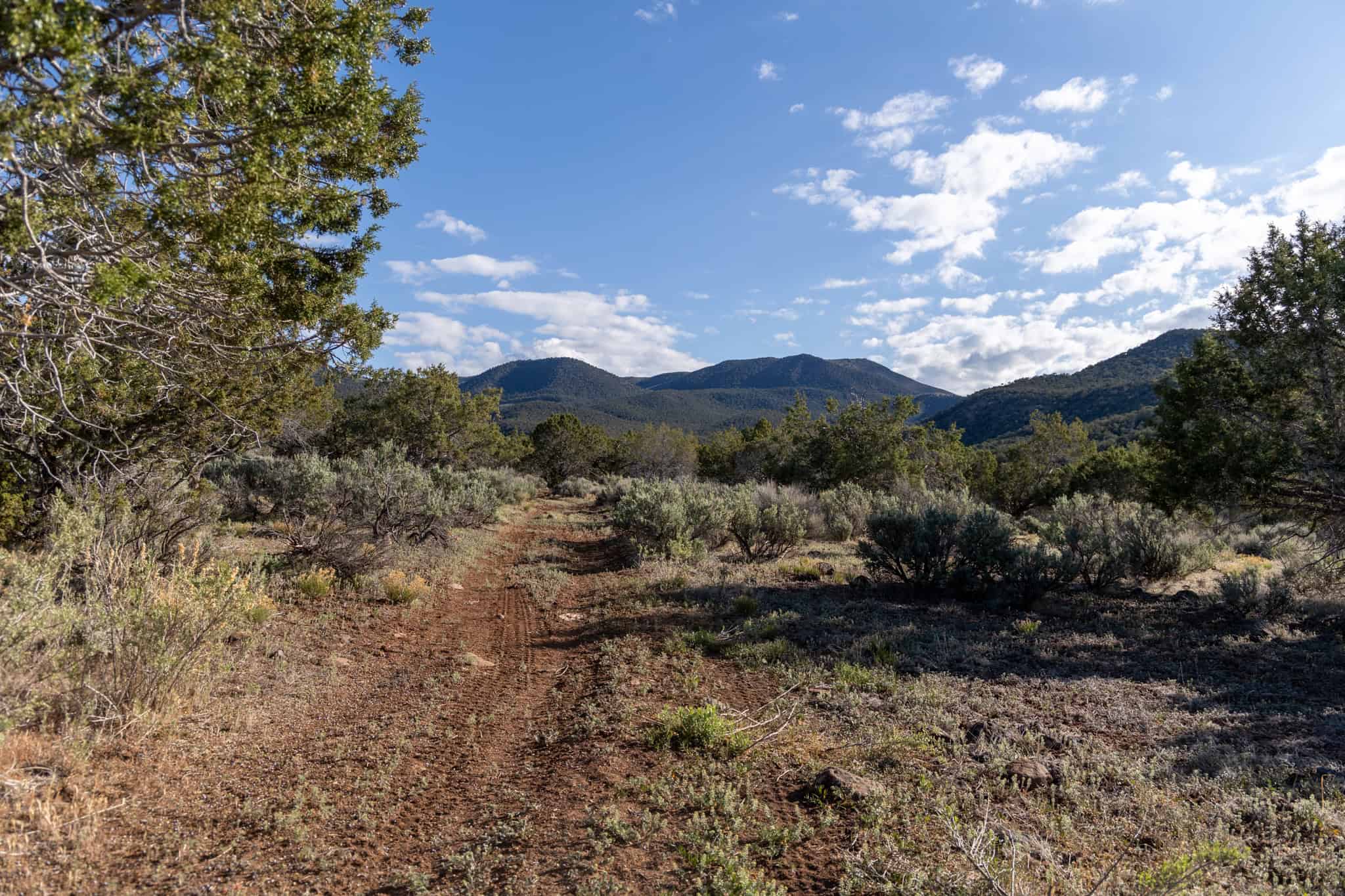 500 Acres Adjacent to BLM – A Secluded Western Colorado Mountain Estate with Water, Views, Wildlife & Unmatched Privacy