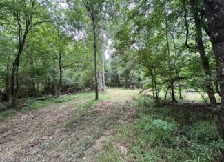 113± Acres for Sale in Osyka, MS on Tickfaw River