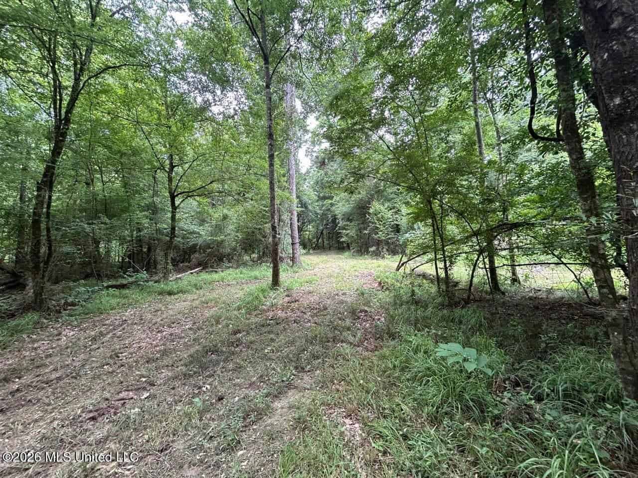 113± Acres for Sale in Osyka, MS on Tickfaw River