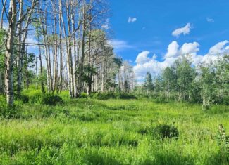 Colorado Hunting and Recreation Acreage