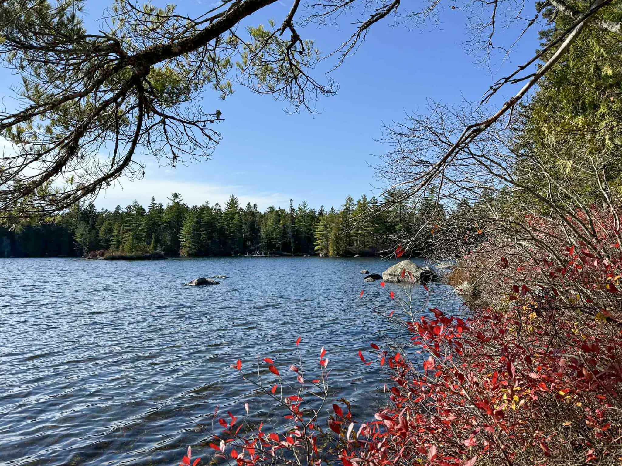 41 Acres with 1330 Ft on Long Lake – Northfield, ME