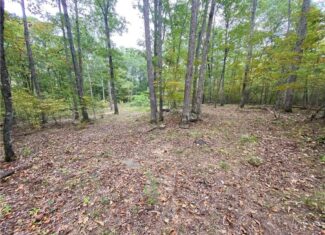 39.75 Newton County Hunting Land/Timber Property For Sale Low Gap