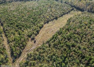 113 Acres of Hunting Land in Liberty, Mississippi