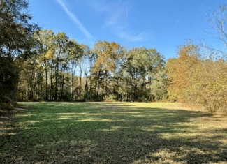 76 Acres For Sale Clay County MS