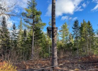 13.9 Acre Surveyed Parcel – Passadumkeag, Maine