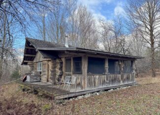 Peaceful Log Cabin Retreat with 128.8 Acres