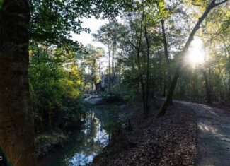 233-Acre Paradise on the Tickfaw River, Osyka, Amite County, MS