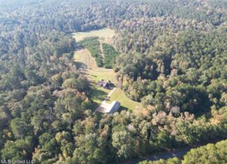 Hunting Land for Sale in Amite County, Mississippi