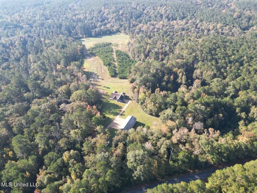 Hunting Land for Sale in Amite County, Mississippi
