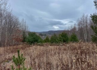 82 Acres with a Mountain View – Strong, Maine