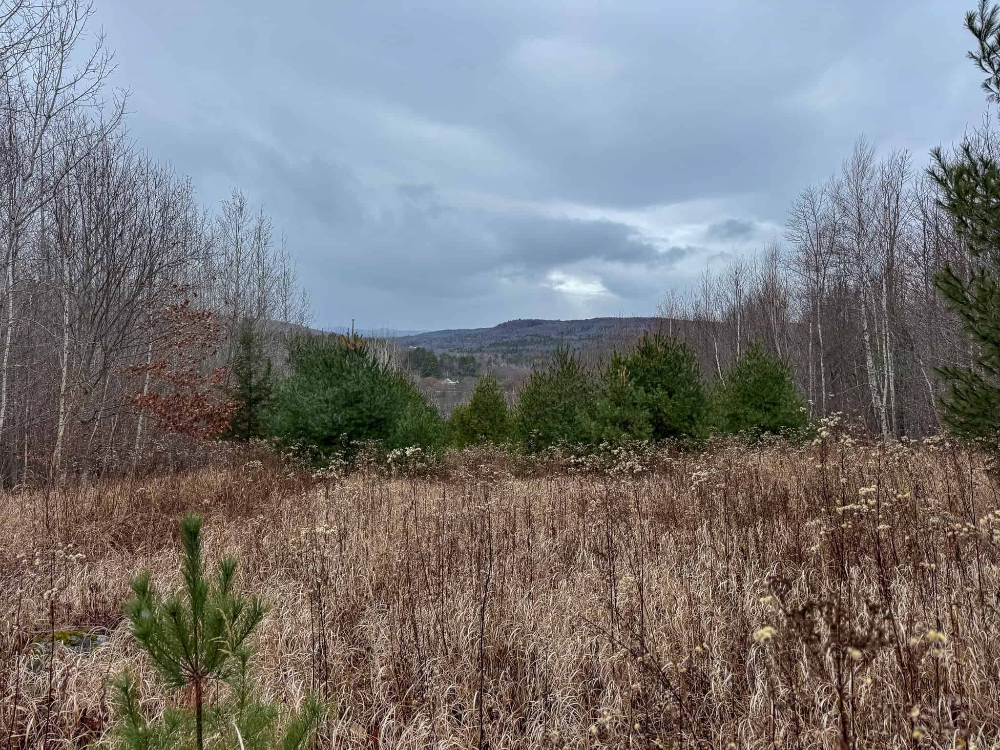 82 Acres with a Mountain View – Strong, Maine