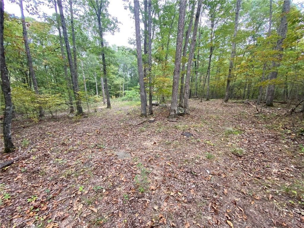 39.75 Newton County Hunting Land/Timber Property For Sale Low Gap