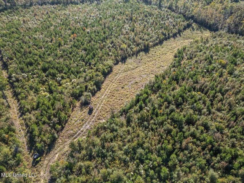 113 Acres of Hunting Land in Liberty, Mississippi