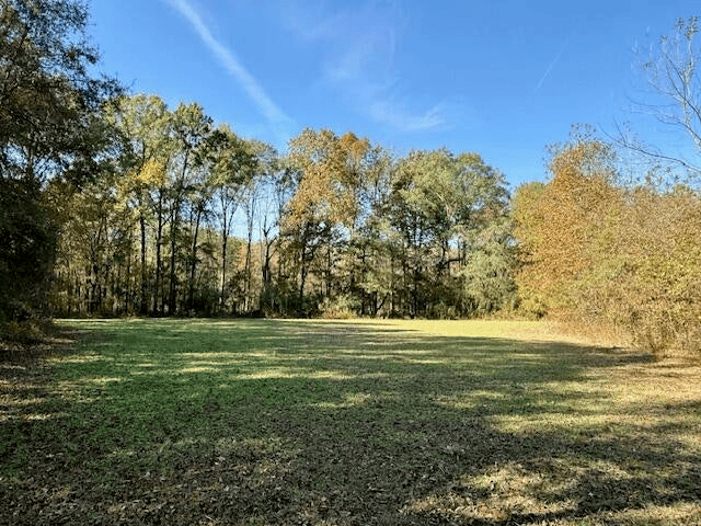 76 Acres For Sale Clay County MS