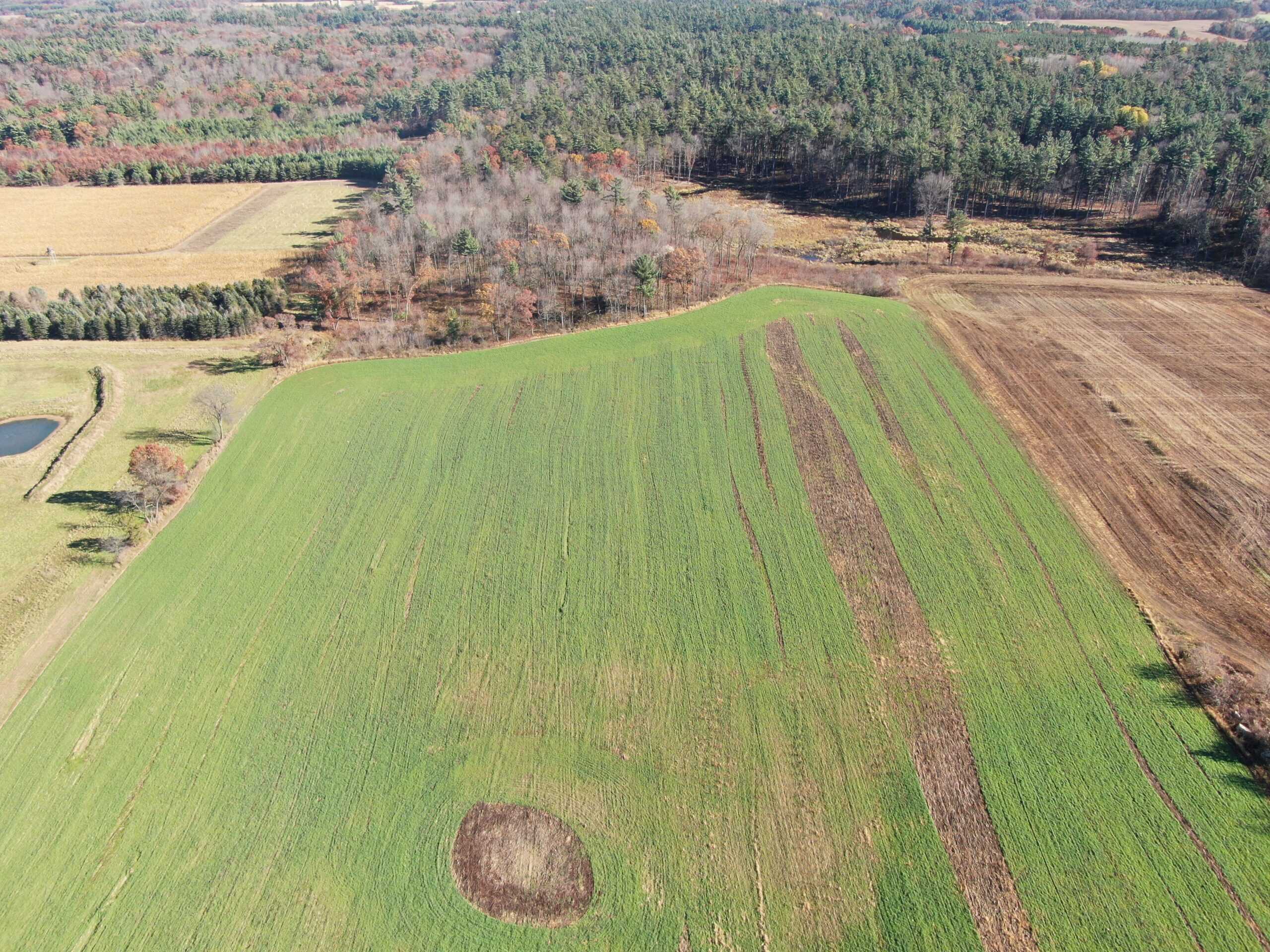 75± Acres of Productive Farmland Property in Portage County, WI