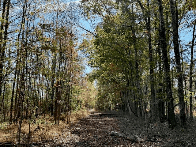 76 Acres For Sale Clay County MS